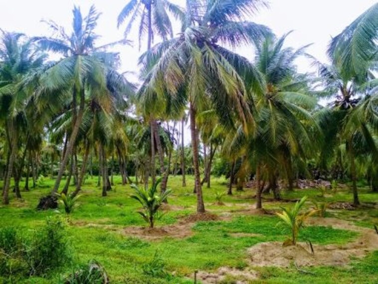 The Adyar Neighbourhood_3